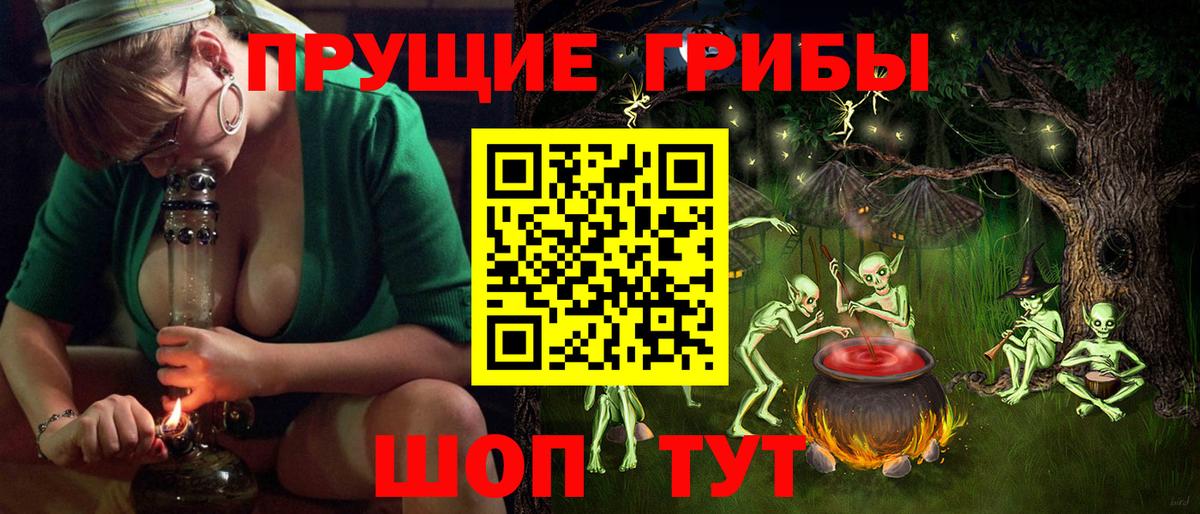 Галлюциногенные грибы GOLDEN TEACHER  Галлюциногенные грибы прущие грибы  Вход с VPN  Черногорск 